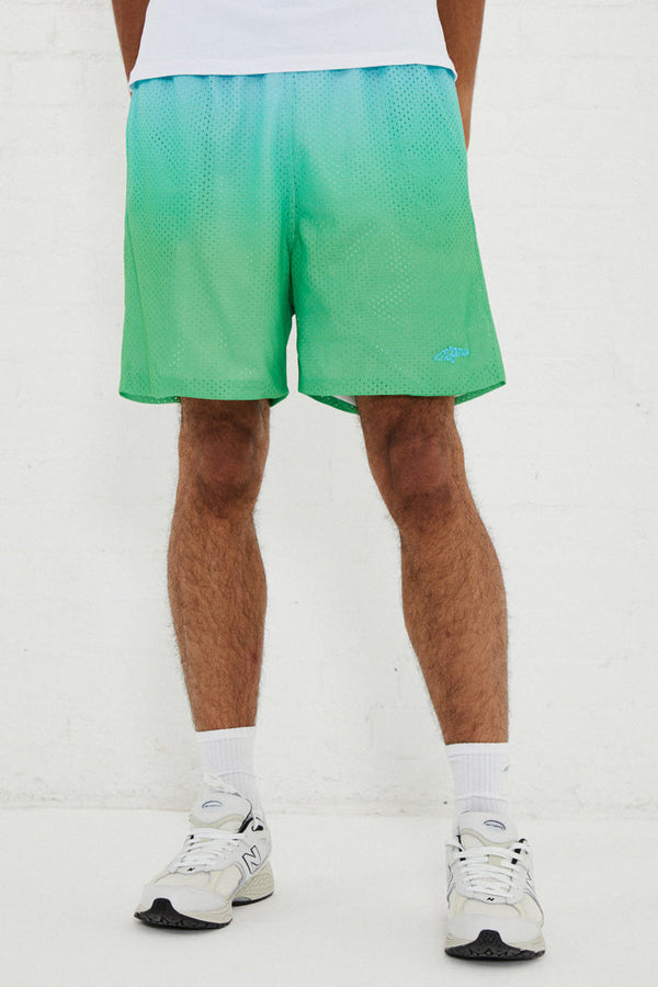 Green & Blue Gradient Mesh Shorts