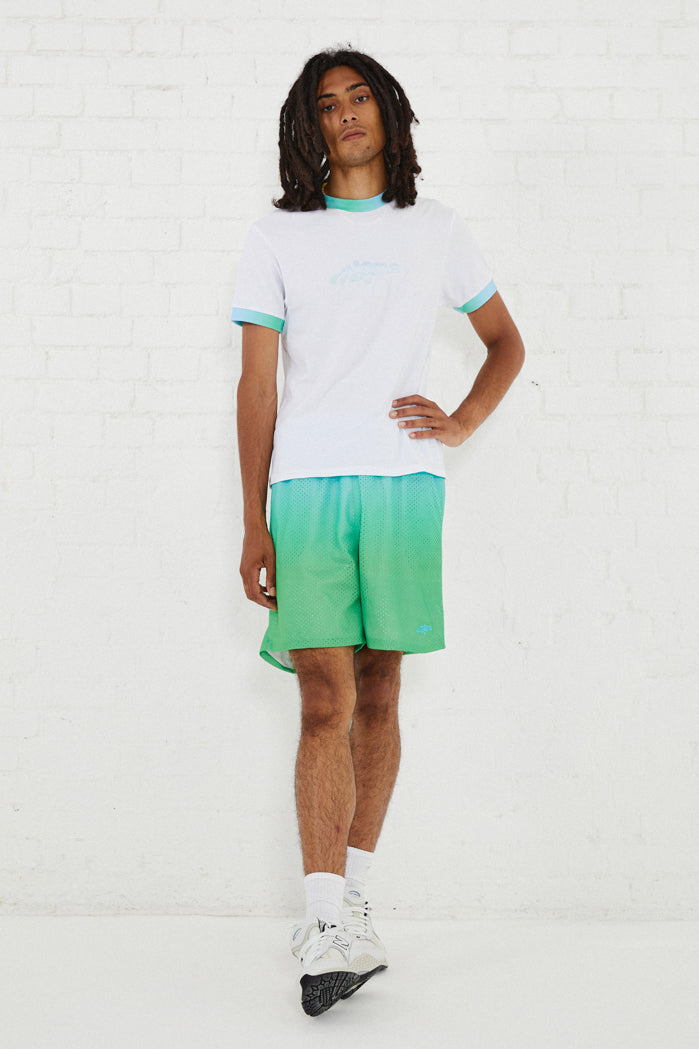 Green & Blue Gradient Mesh Shorts